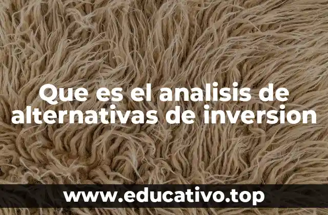 Que es el analisis de alternativas de inversion