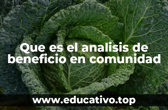 Que es el analisis de beneficio en comunidad