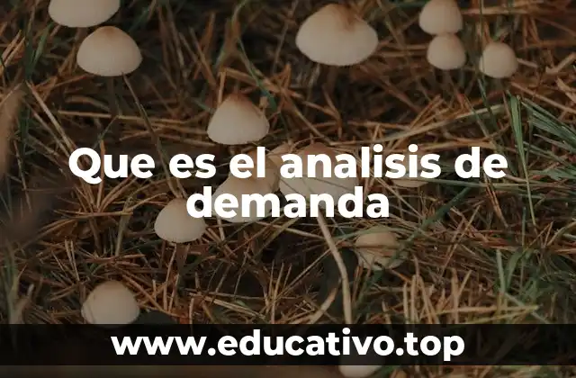 Que es el analisis de demanda