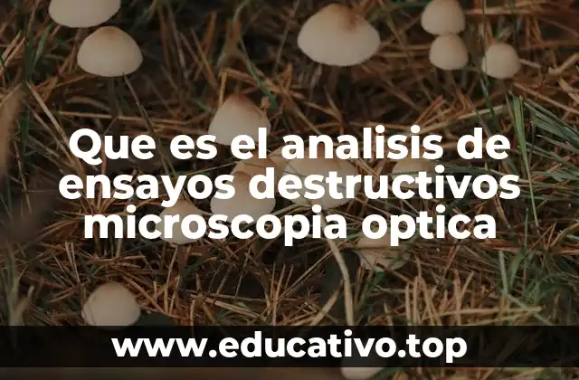 Que es el analisis de ensayos destructivos microscopia optica