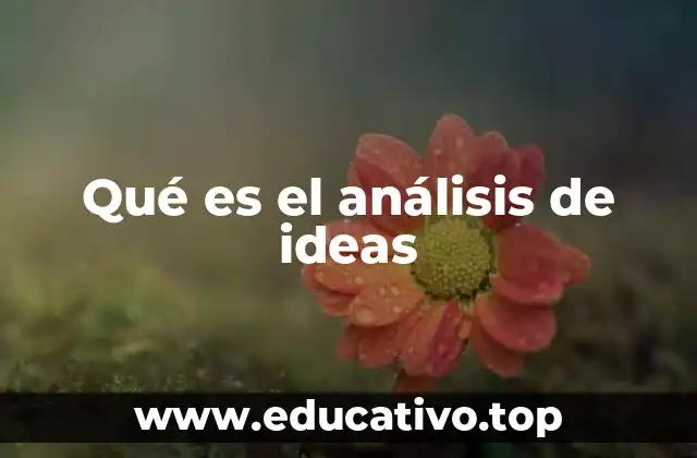 Qué es el análisis de ideas