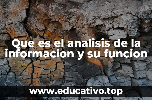 Que es el analisis de la informacion y su funcion