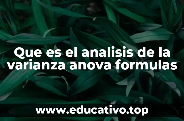 Aplicaciones del ANOVA en investigaciones actuales