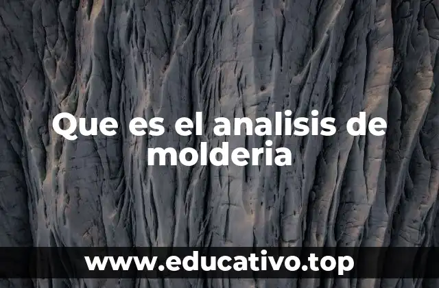 Que es el analisis de molderia