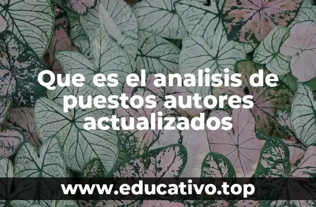 Que es el analisis de puestos autores actualizados