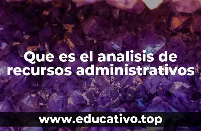 Que es el analisis de recursos administrativos
