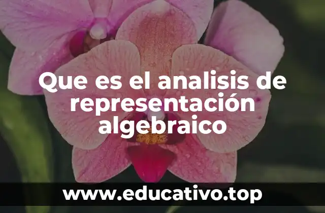Que es el analisis de representación algebraico