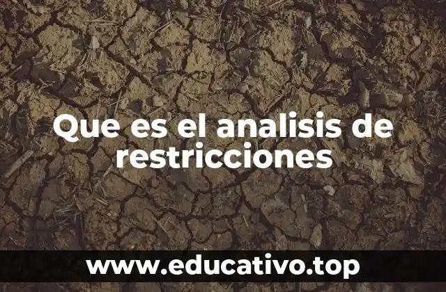 Que es el analisis de restricciones