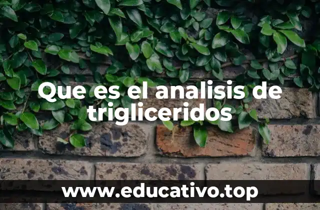 La importancia del análisis de triglicéridos en la salud cardiovascular