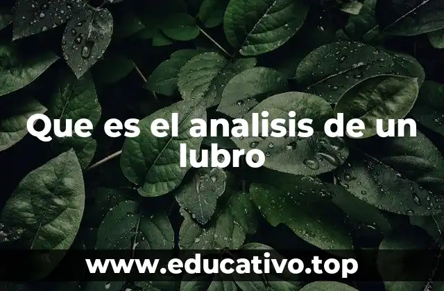 Que es el analisis de un lubro