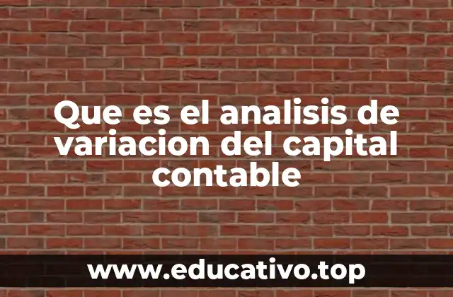 La importancia de comprender los cambios en el patrimonio de una empresa