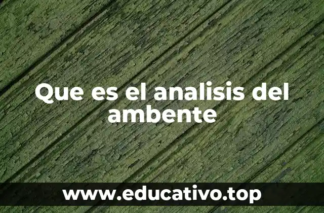 Que es el analisis del ambente