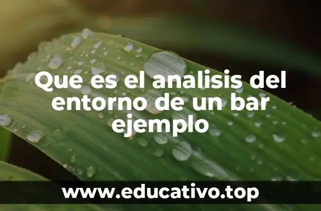 Que es el analisis del entorno de un bar ejemplo