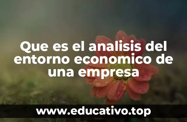 Que es el analisis del entorno economico de una empresa