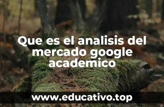 Que es el analisis del mercado google academico