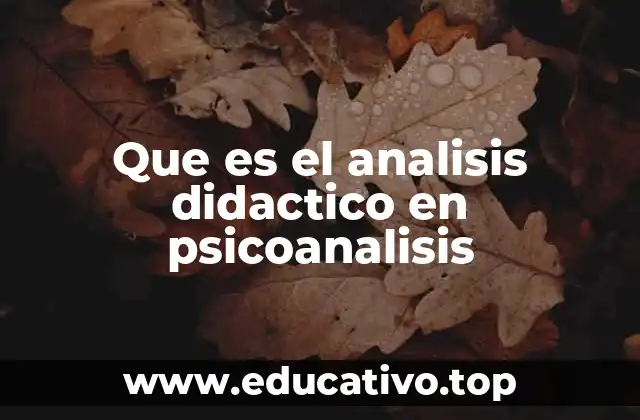Que es el analisis didactico en psicoanalisis