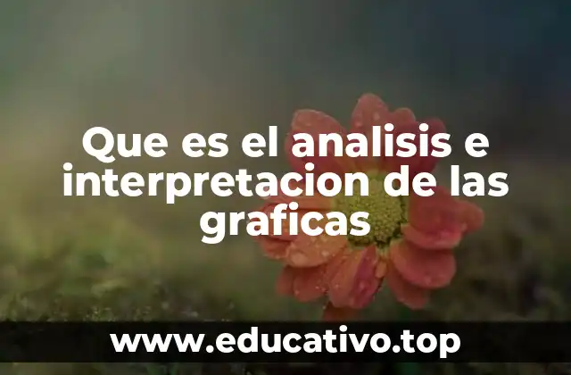 Que es el analisis e interpretacion de las graficas