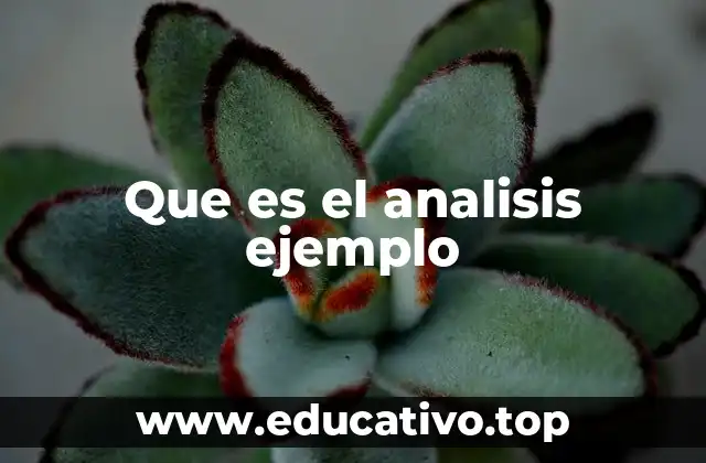 Que es el analisis ejemplo