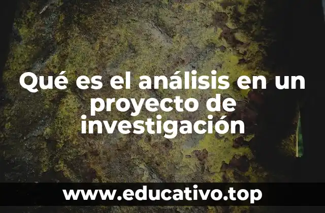 Qué es el análisis en un proyecto de investigación