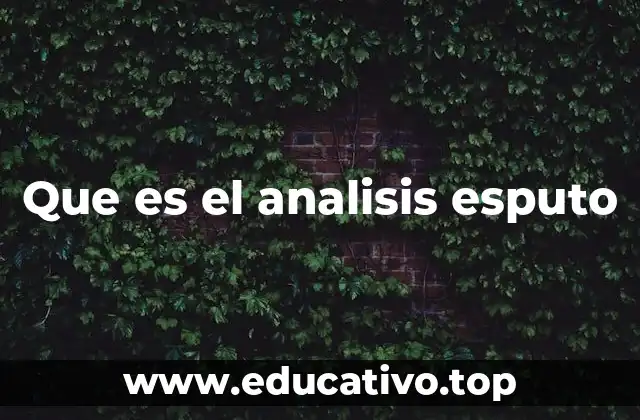 Que es el analisis esputo