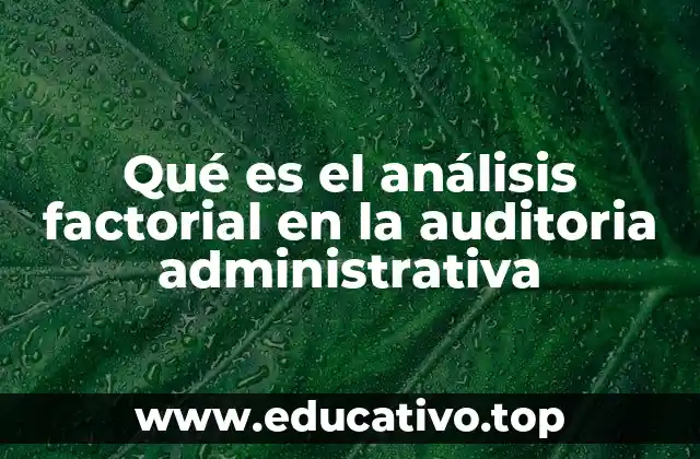 Qué es el análisis factorial en la auditoria administrativa