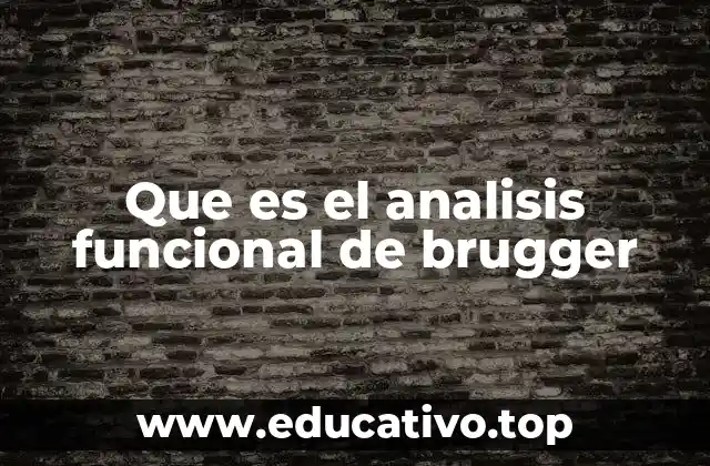 Que es el analisis funcional de brugger