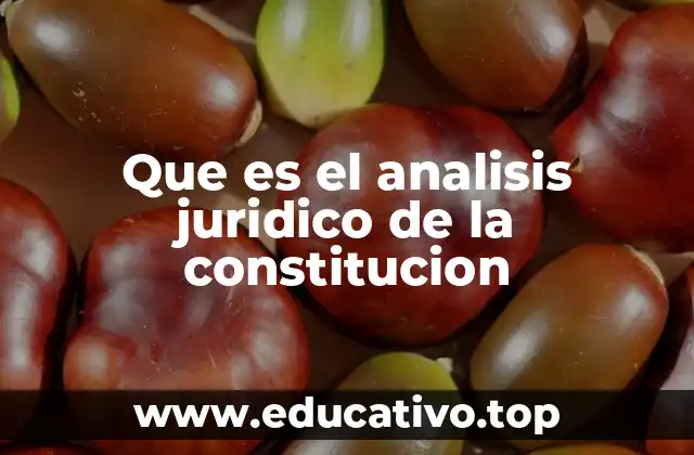 Que es el analisis juridico de la constitucion