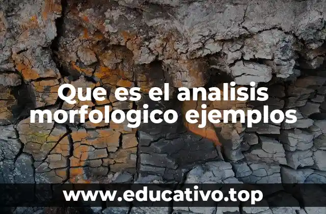 Que es el analisis morfologico ejemplos