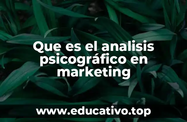 Que es el analisis psicográfico en marketing