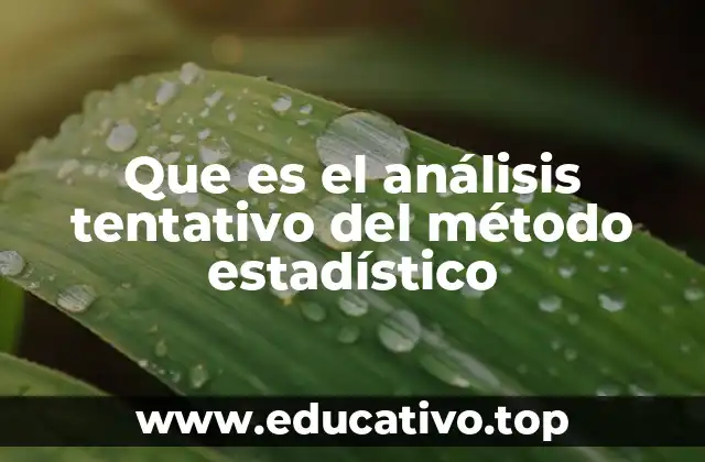Que es el análisis tentativo del método estadístico
