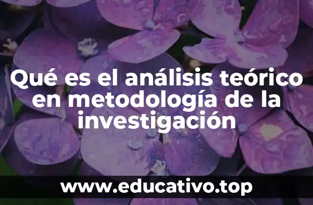 Qué es el análisis teórico en metodología de la investigación