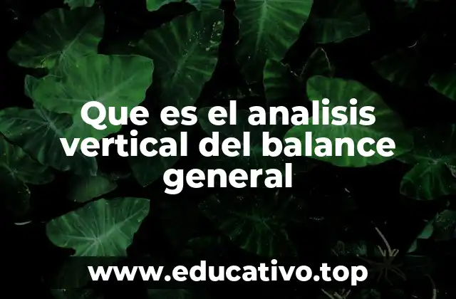 Que es el analisis vertical del balance general