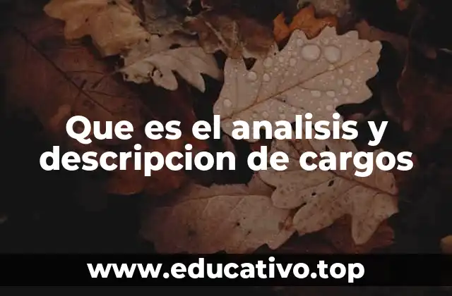 Que es el analisis y descripcion de cargos