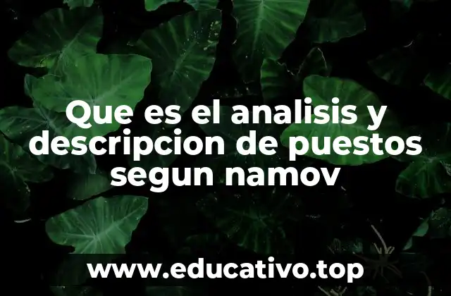 Que es el analisis y descripcion de puestos segun namov