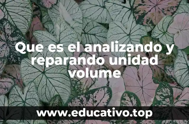Que es el analizando y reparando unidad volume