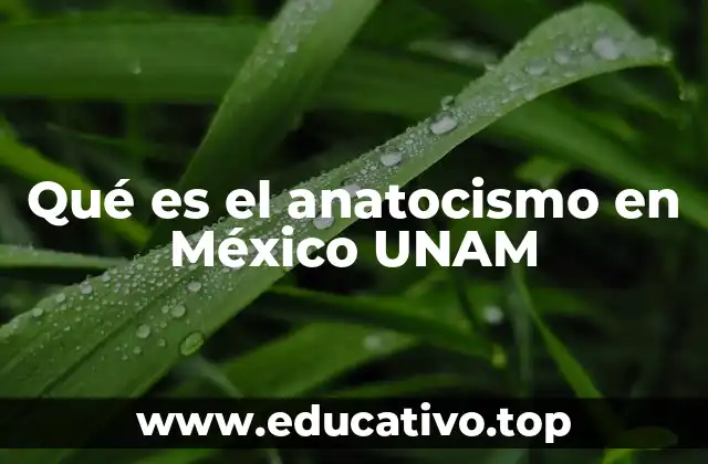 Qué es el anatocismo en México UNAM