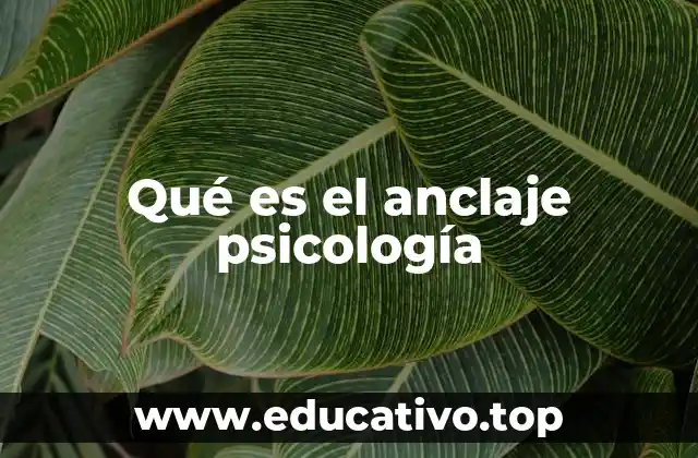 Qué es el anclaje psicología