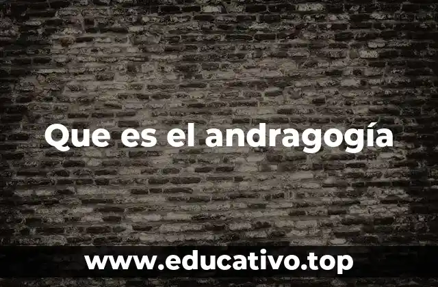 Que es el andragogía