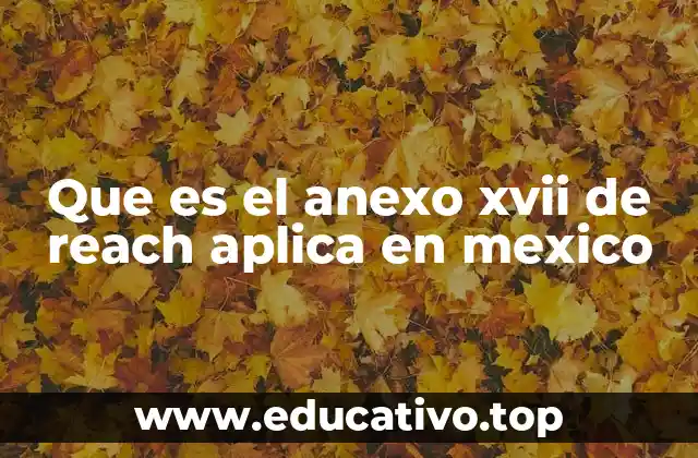 Que es el anexo xvii de reach aplica en mexico