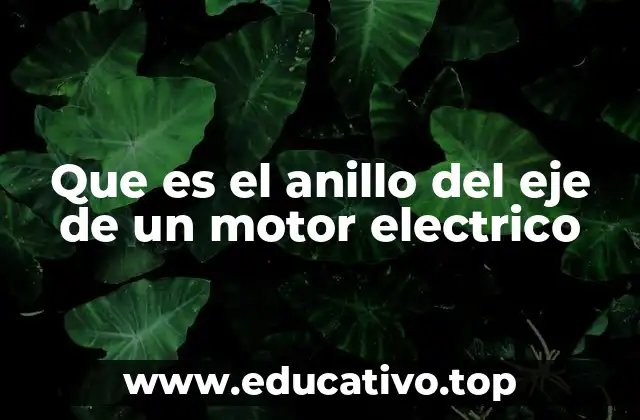 Que es el anillo del eje de un motor electrico