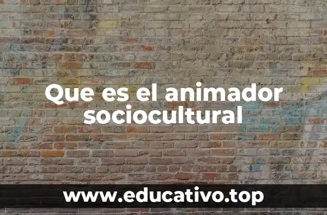 Que es el animador sociocultural