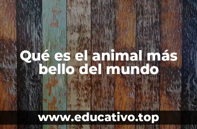 Qué es el animal más bello del mundo