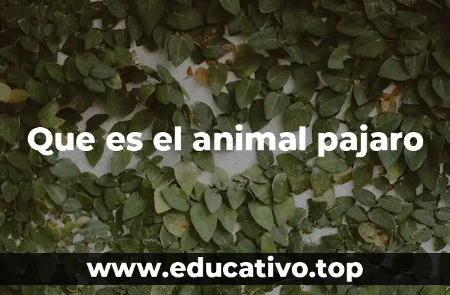 Que es el animal pajaro