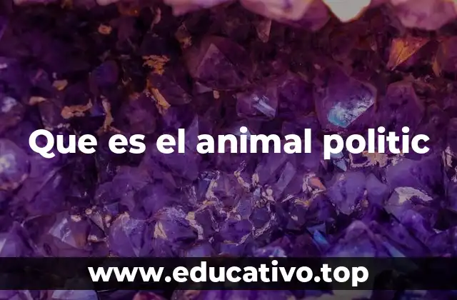 Que es el animal politic