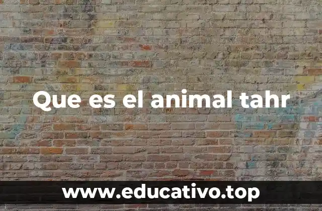 Que es el animal tahr