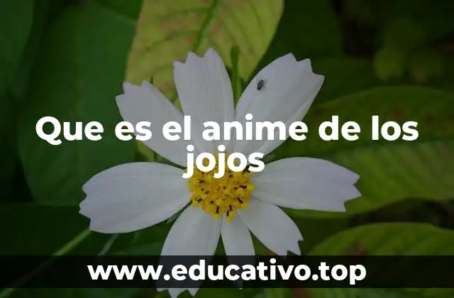Que es el anime de los jojos