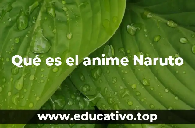 Qué es el anime Naruto