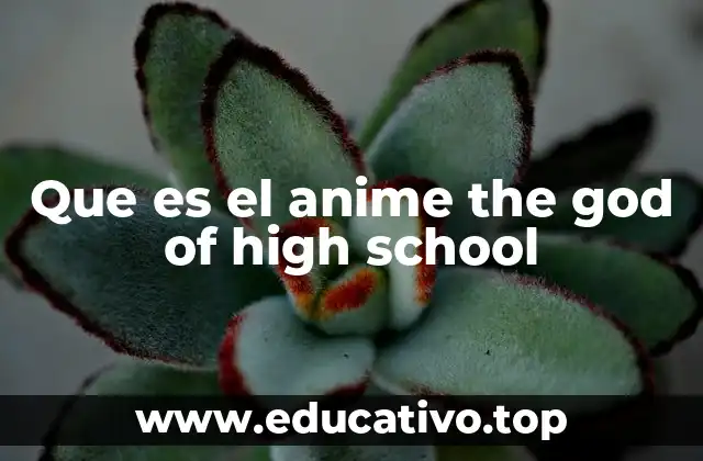 Que es el anime the god of high school