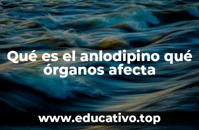 Qué es el anlodipino qué órganos afecta