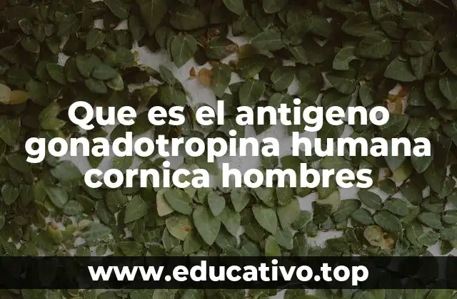 Que es el antigeno gonadotropina humana cornica hombres